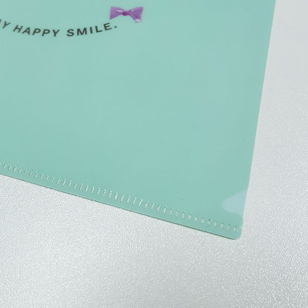 Customized A4 L shape file folder