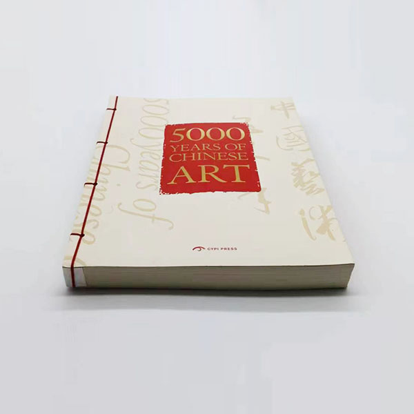 Vintage softcover book with string binding image 2